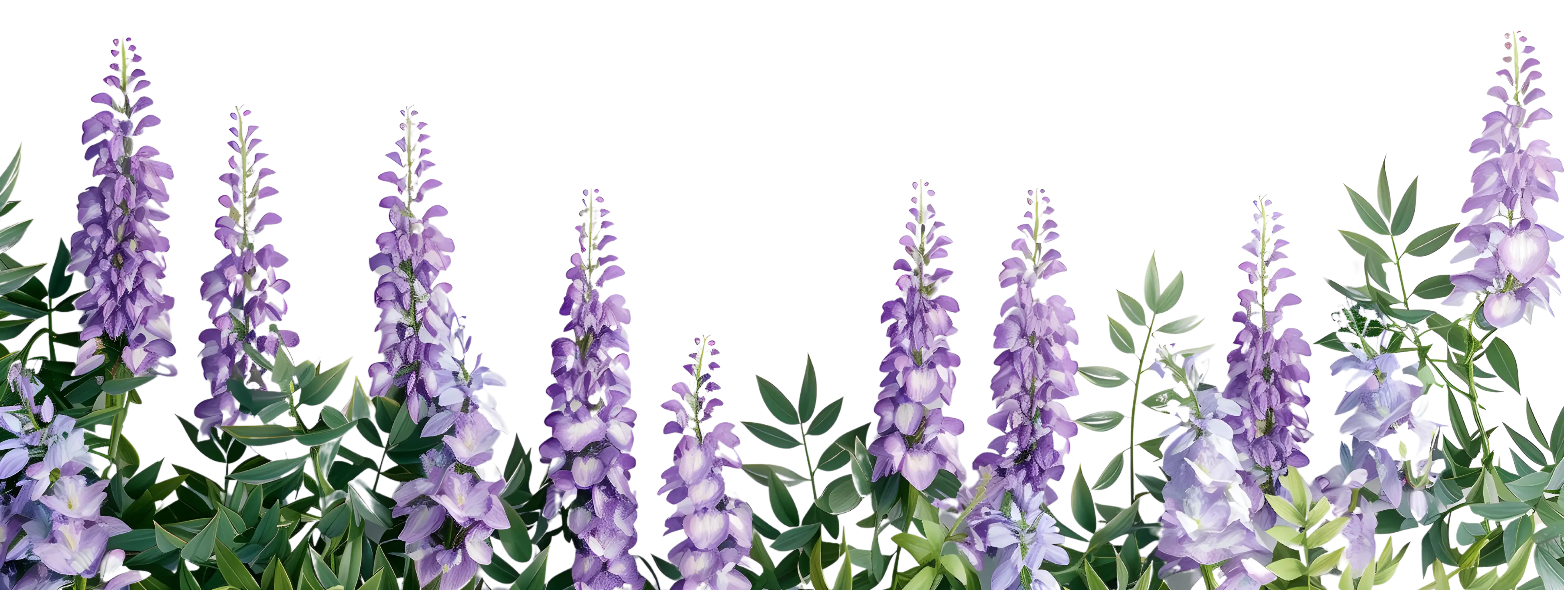 Flores Footer